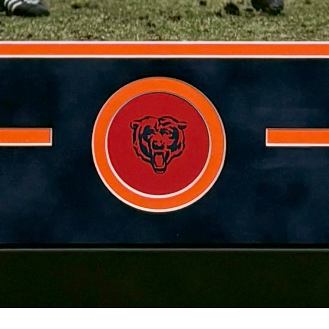 Dick Butkus Hand Signed & Framed Chicago Bears 8x10 Football Photo