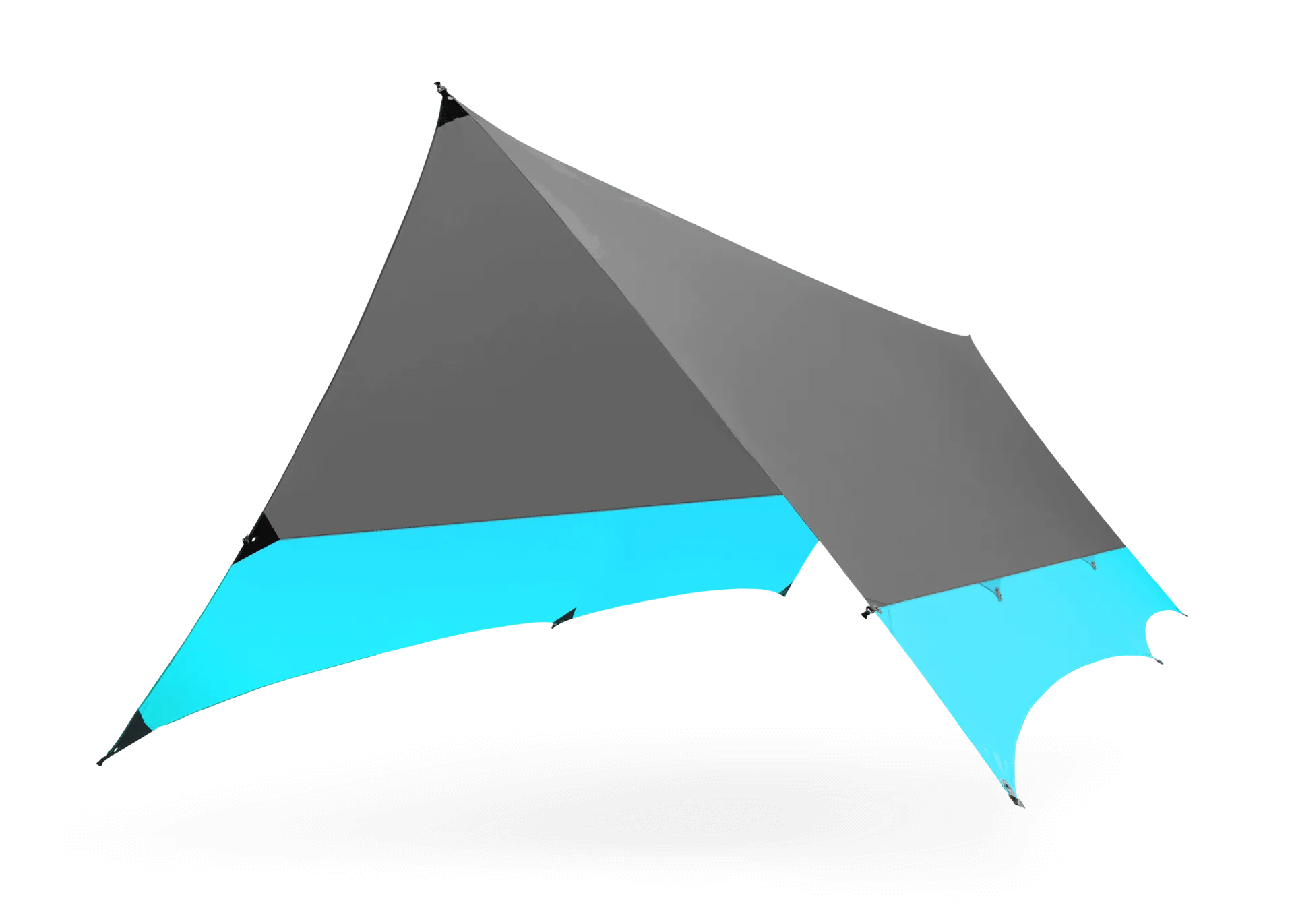 Kuhli XL